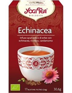 YOGI TEA EQUINACEA