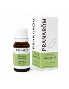 PRANAROM ACEITE ESENCIAL ARBOL DEL TE 10 ML