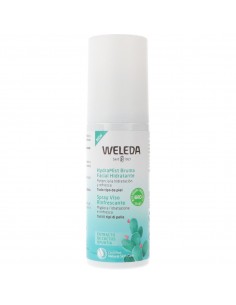 WELEDA HYDRAMIST BRUMA FACIAL HIDRATANTE