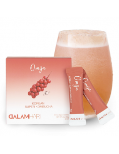 KOCOSTAR KOMBUCHA OMIJA STICK (BAYA MAGNOLIA)