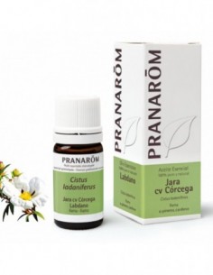 PRANAROM ACEITE ESEN JARA CV CORCEGA 5 ML
