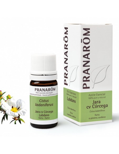 PRANAROM ACEITE ESEN JARA CV CORCEGA 5 ML
