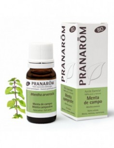 PRANAROM ACEITES ESENC MENTA DE CAMPO PARTES AER