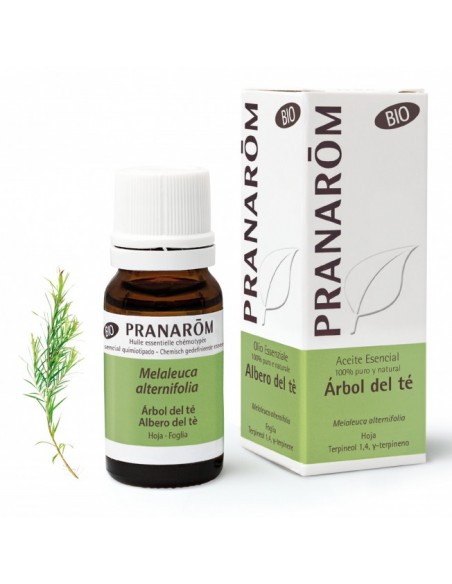 PRANAROM ACEITE ESEN ARBOL DE TE BIO 10 ML