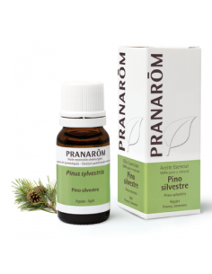 PRANAROM PINO SILVESTRE ACEITE ESENCIAL BIO 10ML