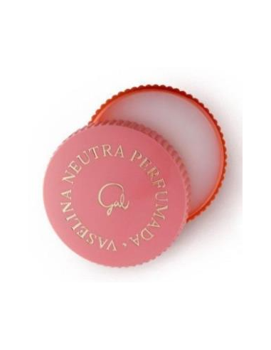 VASELINA GAL PERFUMADA 13 G R-6501VASELINA PERFU