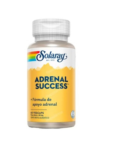 SOLARAY ADRENAL SUCCESS 60 VEGCAPS