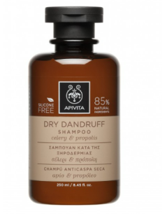APIVITA CHAMPU DRY DANDRUFF 500ML