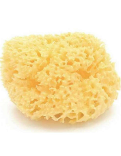 ESPONJA NATURAL MEDITERRANEO NATURAL