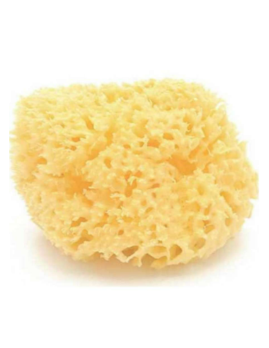 ESPONJA NATURAL MEDITERRANEO NATURAL